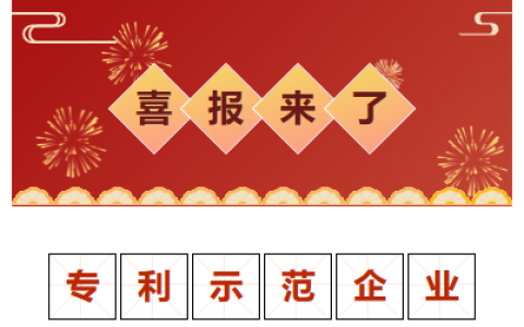 喜報！金華市專利示范企業(yè)！